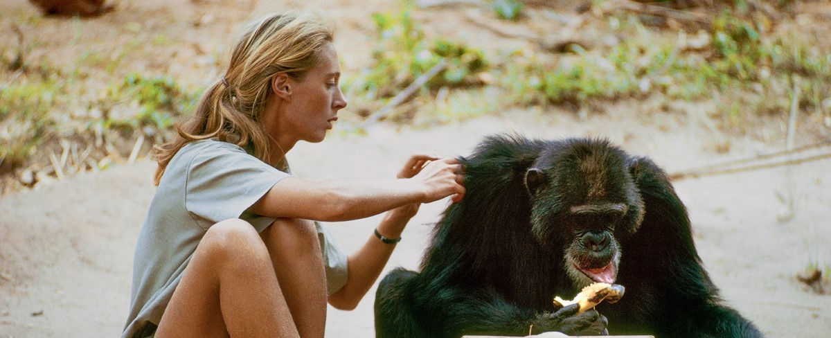 donna con un animale